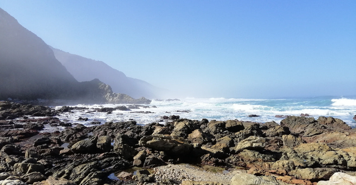 Hiking the Otter Trail: Our Guide to South Africa’s Most Iconic Trail