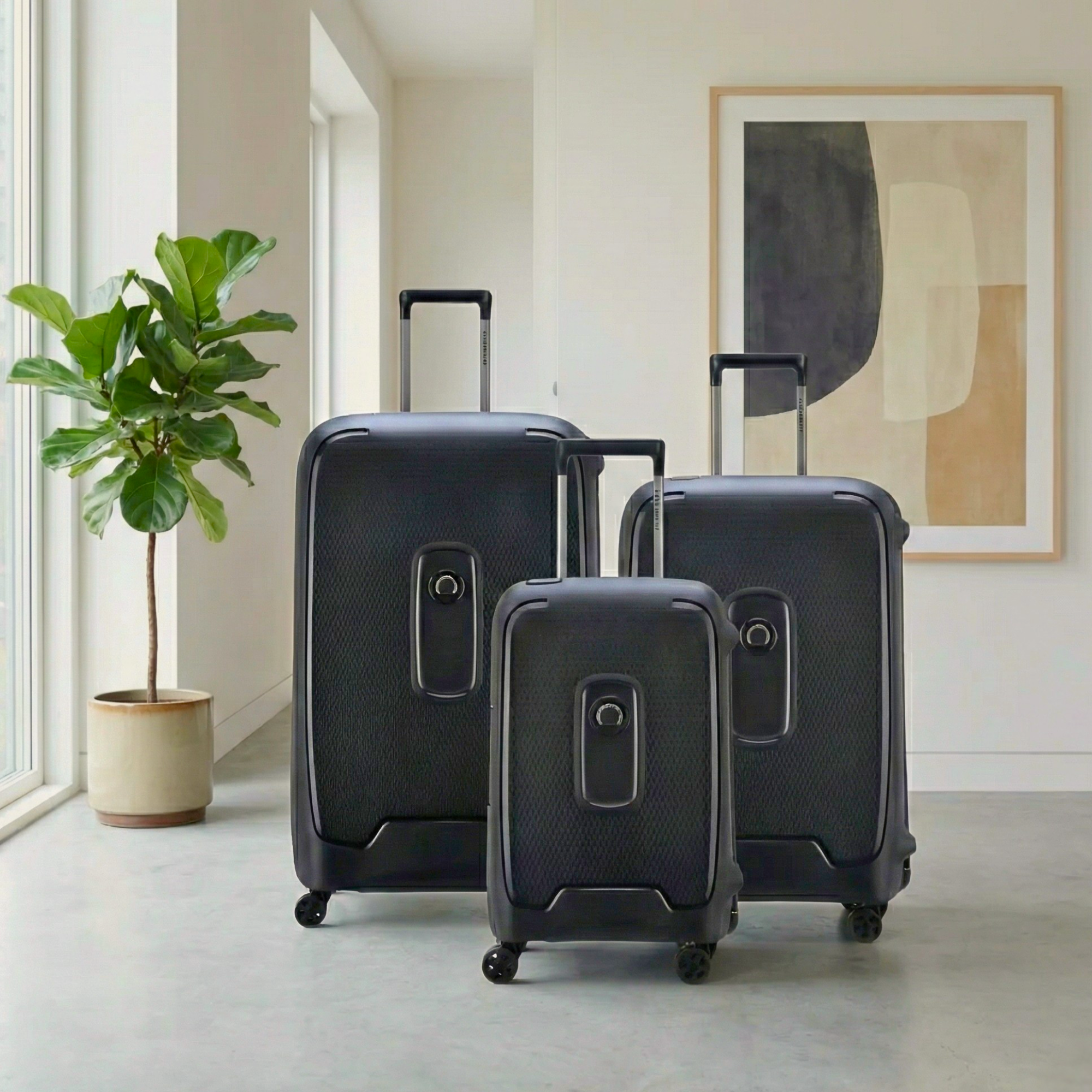 Delsey Moncey Collection