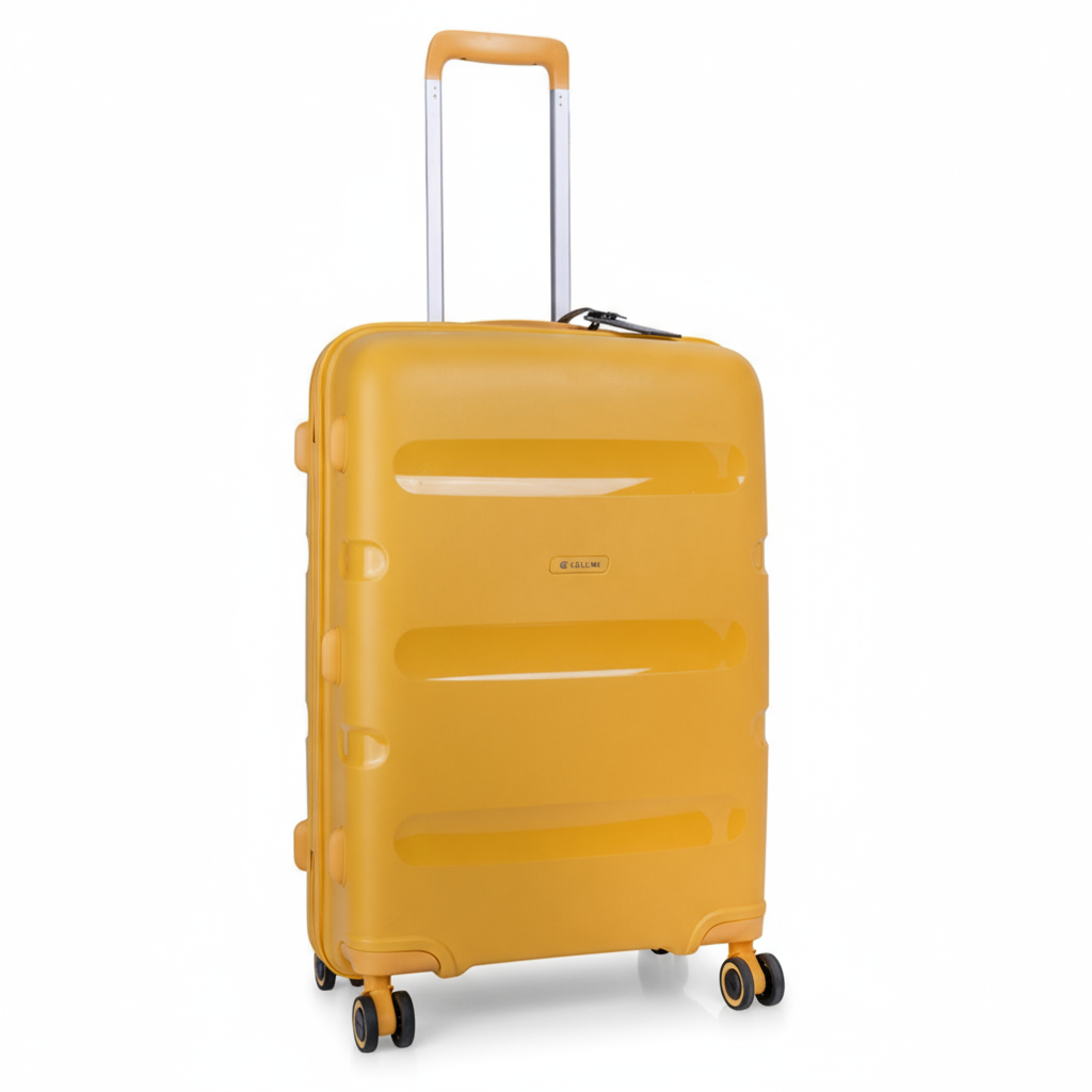 Cruze 65cm Medium Check-In