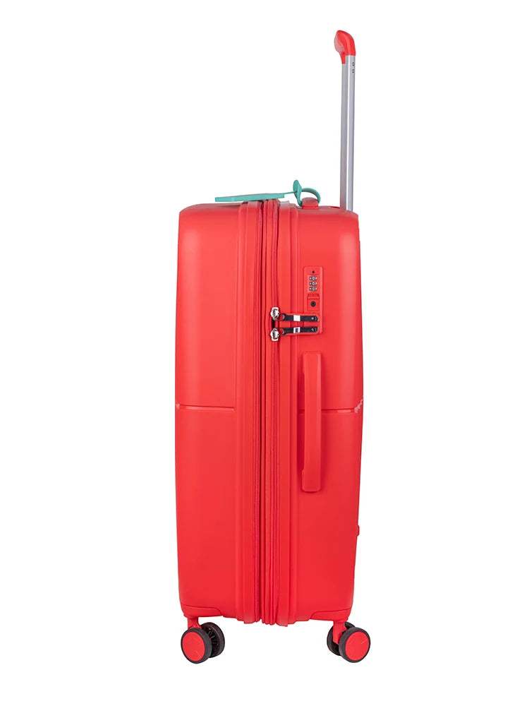 Cruze 67cm Medium Expander Check in