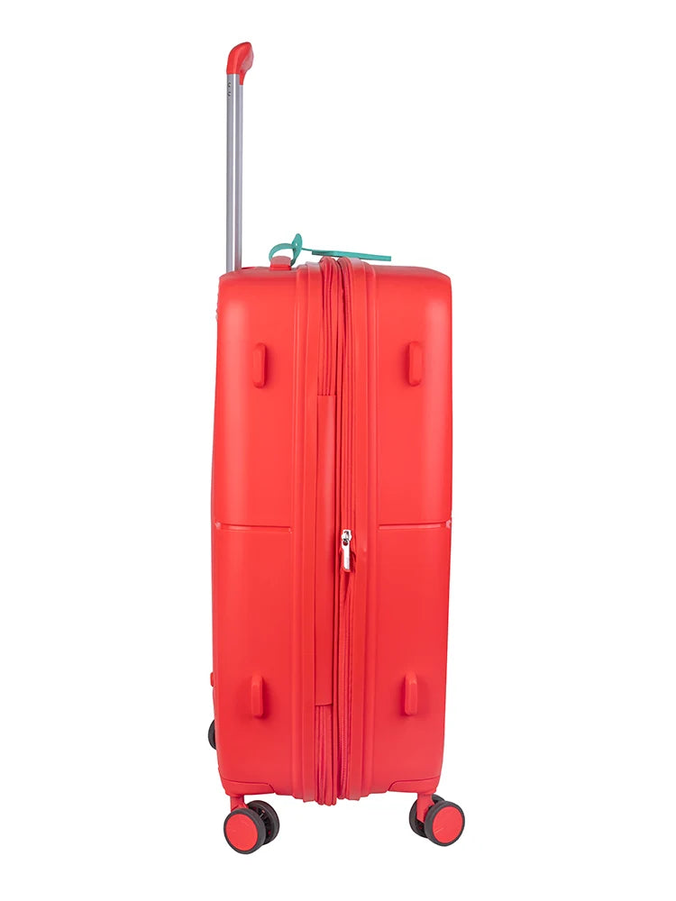 Cruze 67cm Medium Expander Check in