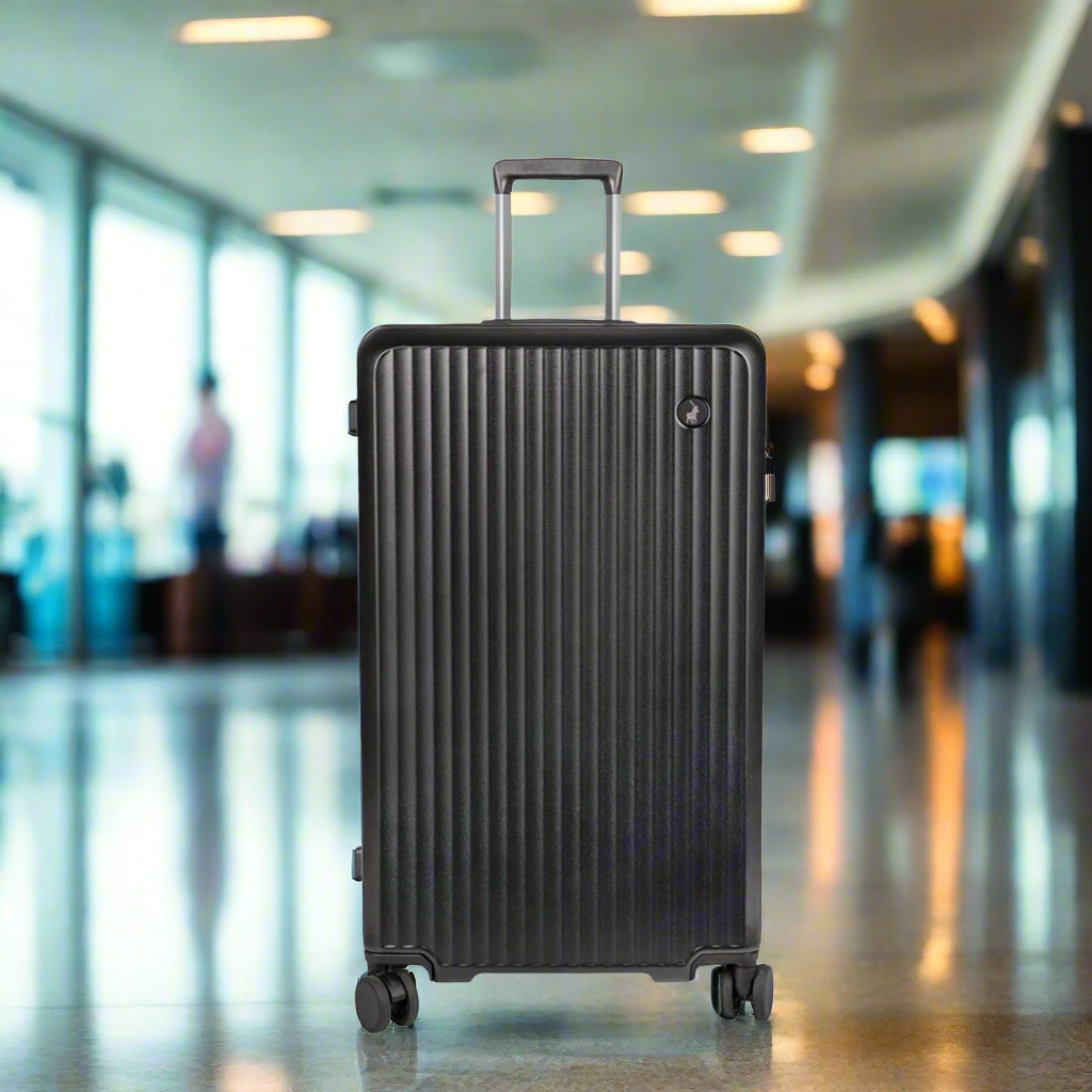Rover 75cm Large Check-In Trunk