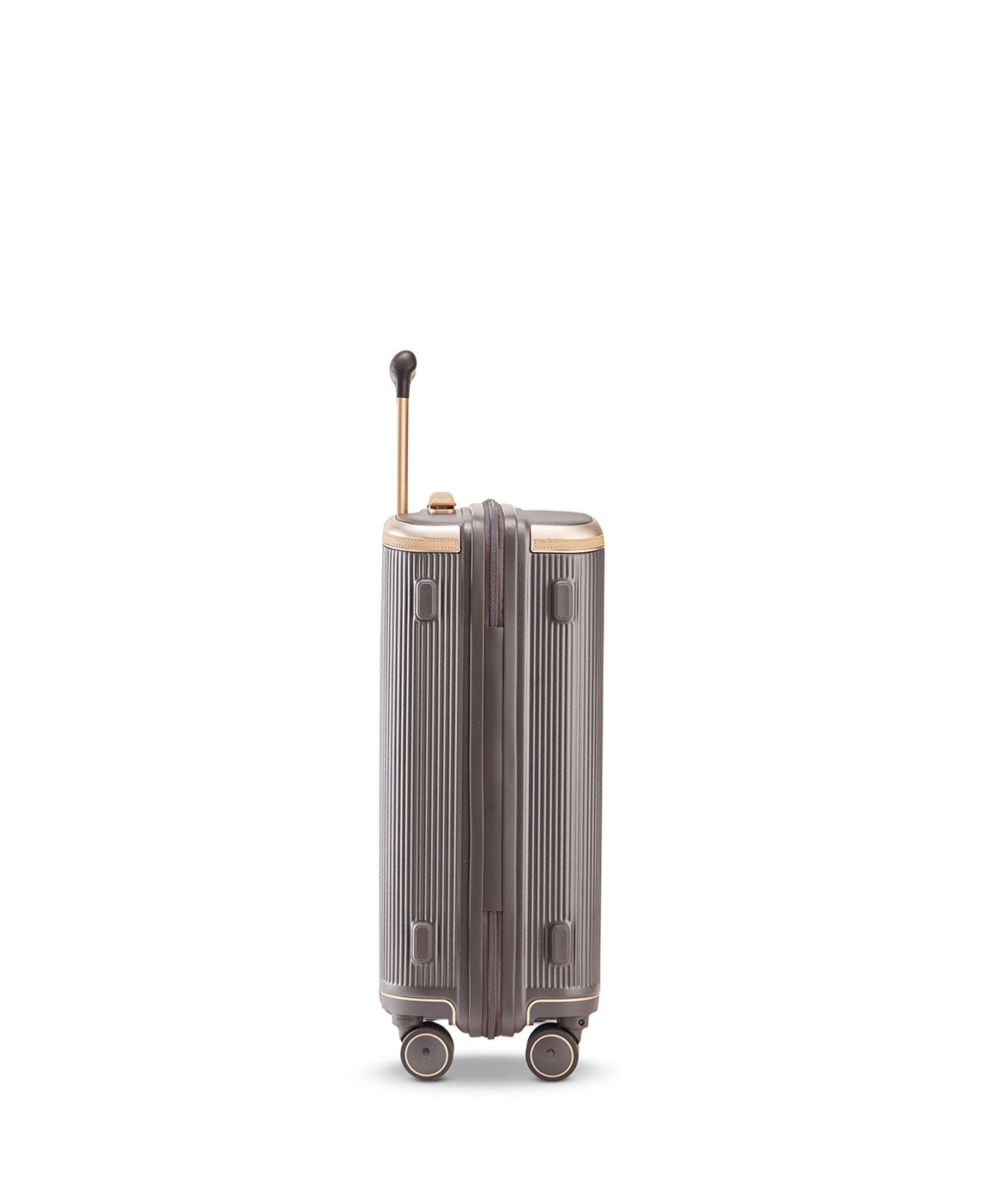 Dynasty 55cm Carry-On
