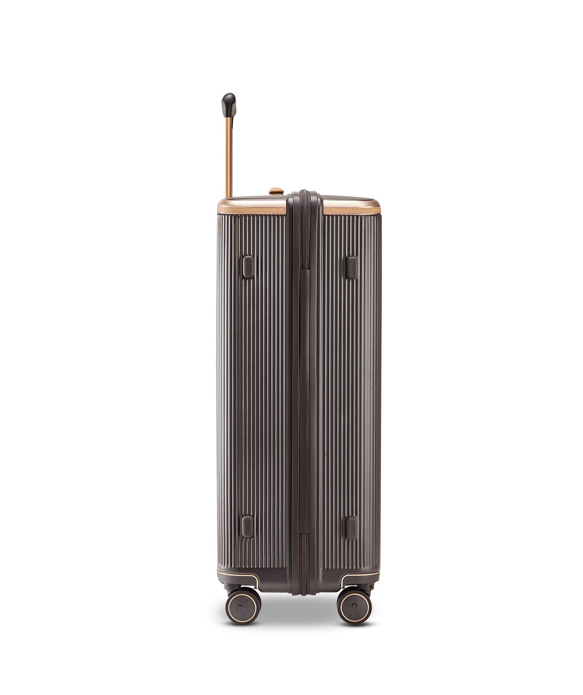 Dynasty 77cm Large Check in