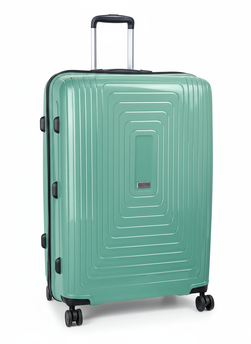 Flexilite 77cm Large Check-In