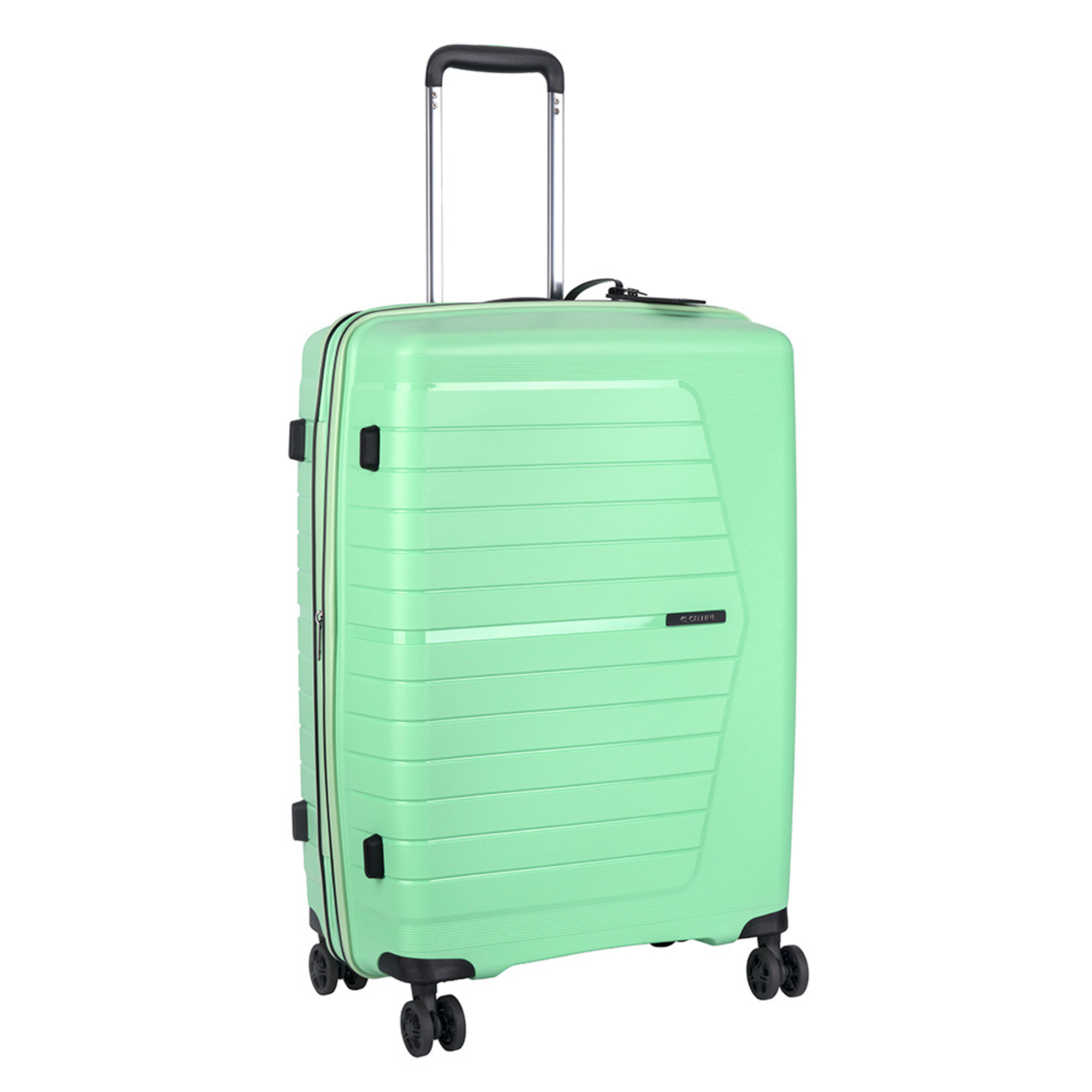 #color_light-green