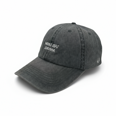 Middle Seat Survivor