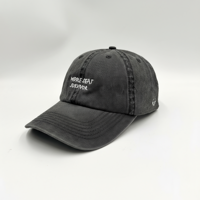 Middle Seat Survivor