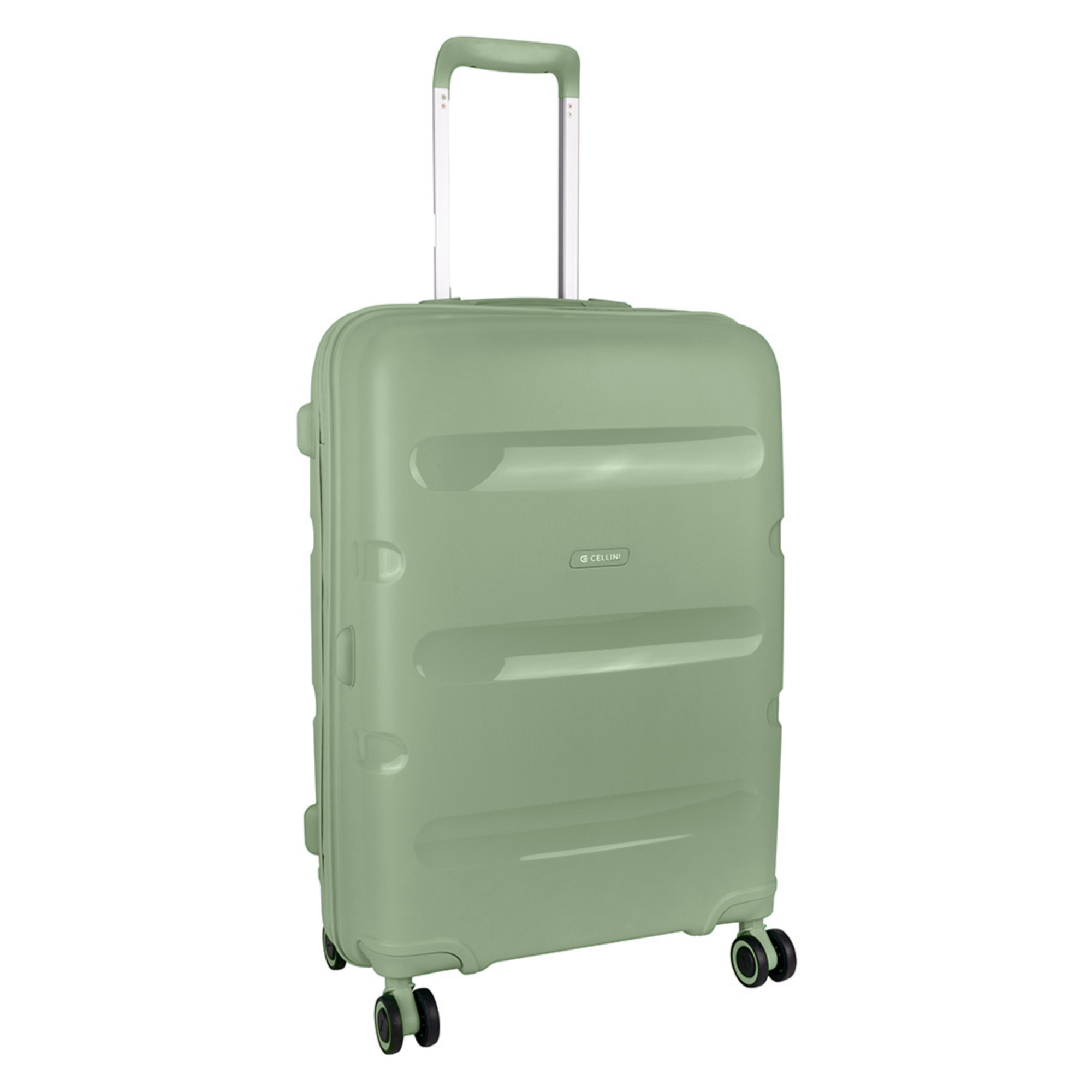 #color_sage-green