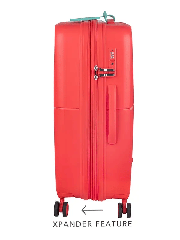 Cruze 67cm Medium Expander Check in
