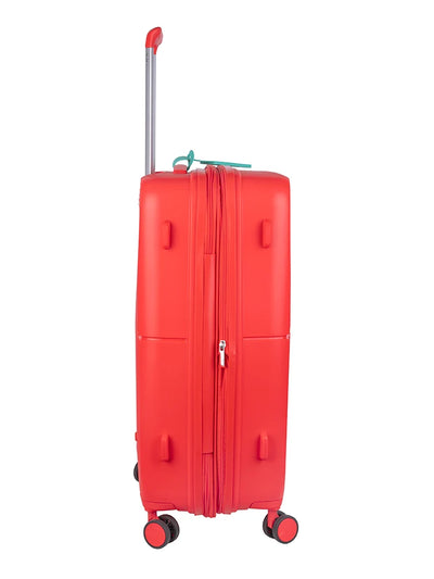 Cruze 67cm Medium Expander Check in