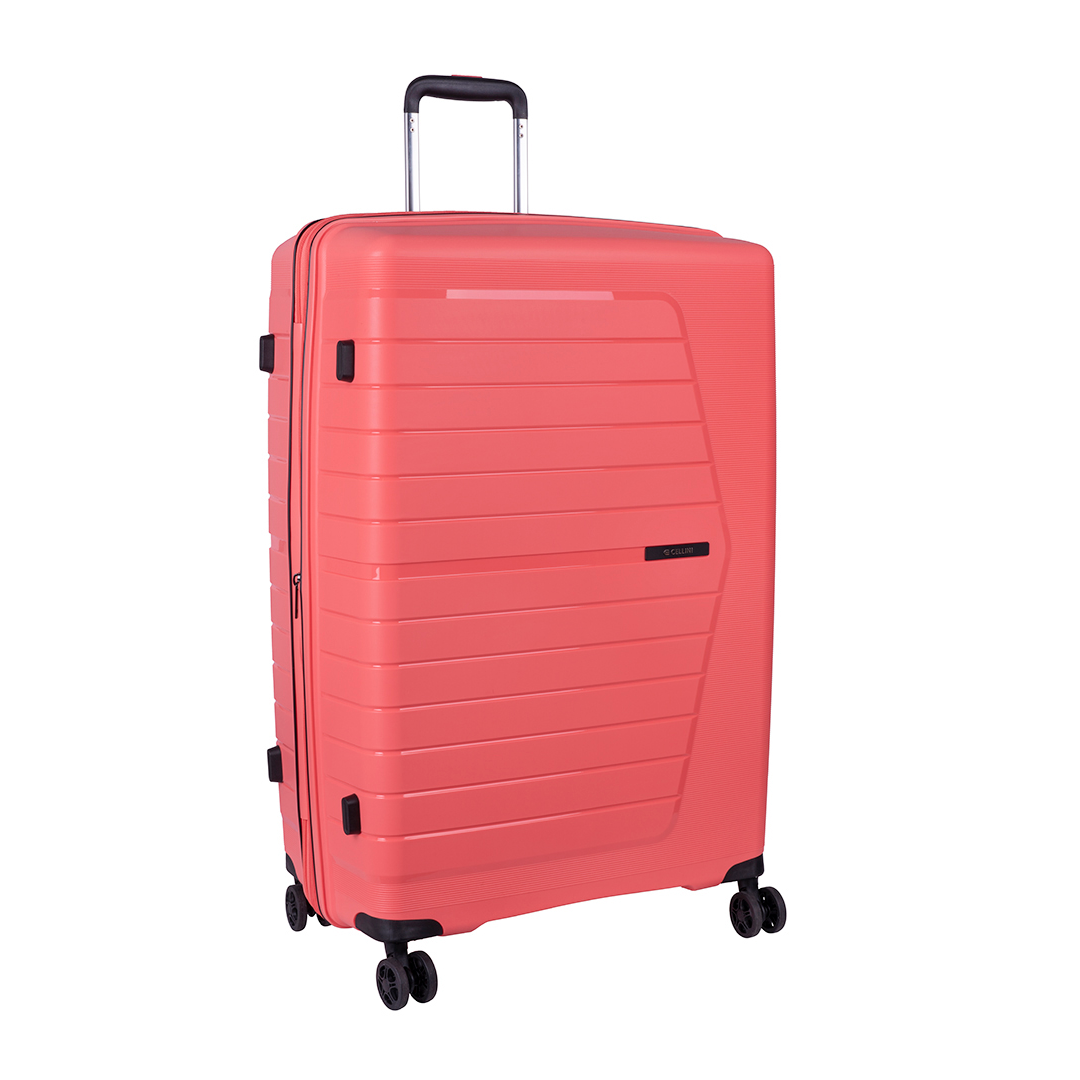 Starlite 75cm Large Expander Check-In