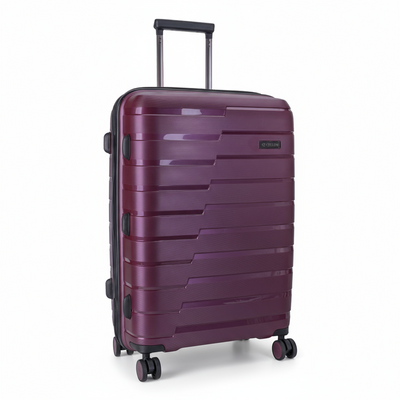 Microlite 76cm Large Check-In