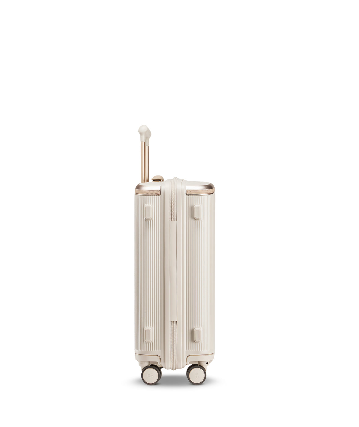 Dynasty 55cm Carry-On