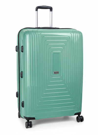Flexilite 77cm Large Check-In