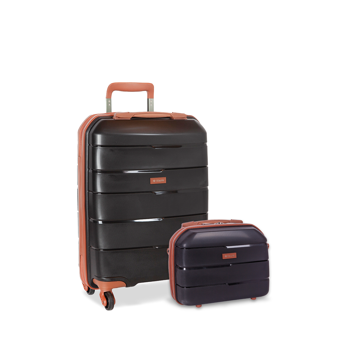 Cellini top hand luggage